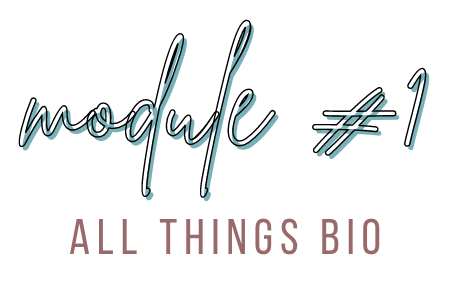 the perfect instagram bio